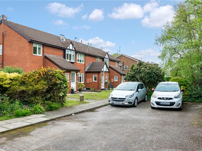 Picture 18